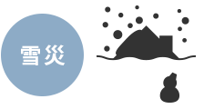 雪災