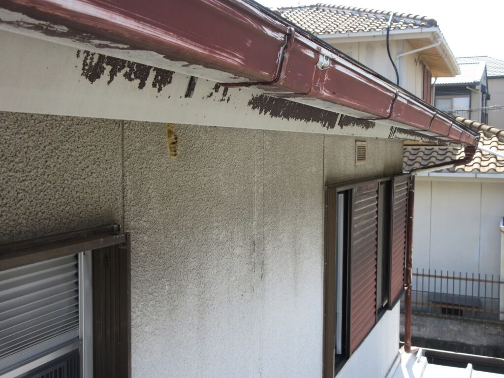外壁塗装 屋根塗装 大阪府阪南市 T様所有物件 軒樋