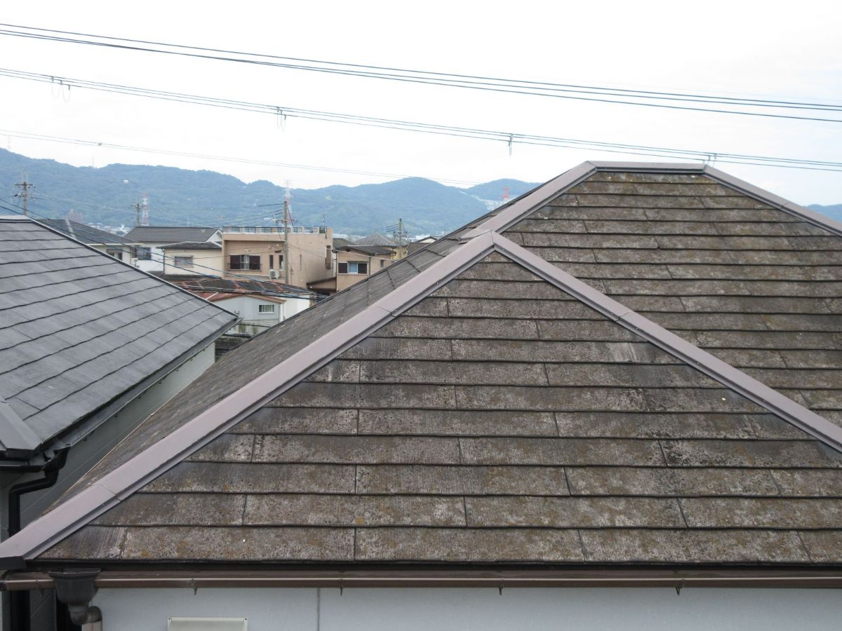 【岩出市】M様邸<br>『モスグリーンの外壁にシルバーアッシュの屋根が高級感漂う素敵なお家に…✧₊°』3