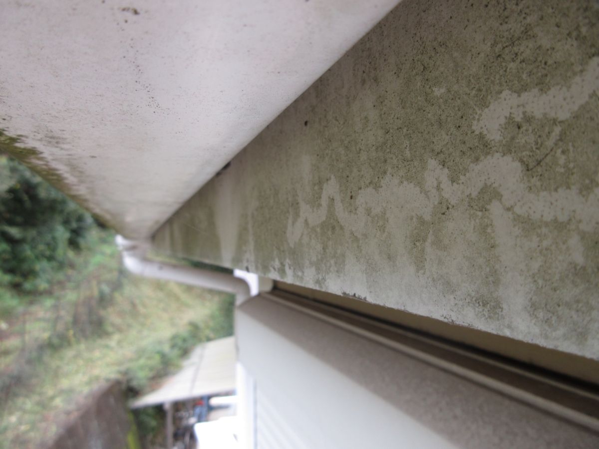 【海南市】 O様邸<br>『住宅のデザインを活かしたベージュの外壁でおしゃれな洗練された仕上がりに…˖✧』17