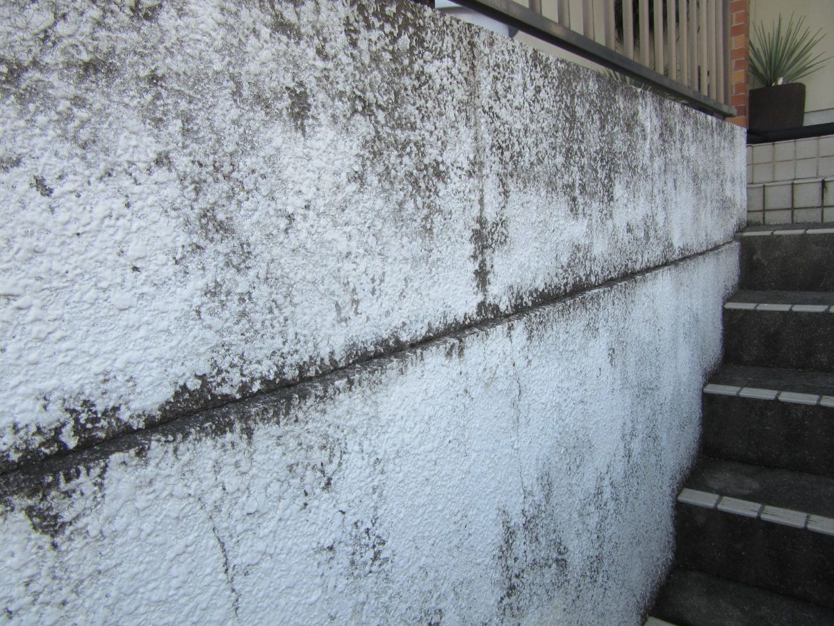 【和歌山市】　I様邸<br>『フォーンブラウンの外壁にダークグレージュの屋根が穏やかな印象の素敵な仕上がりに…✧₊°』インテグラルコート塗布19